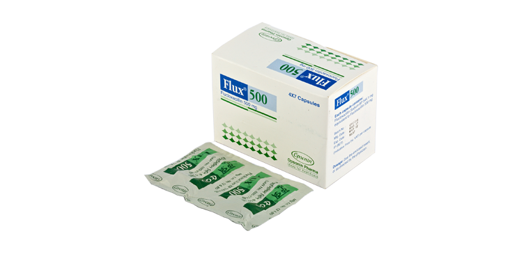 Flux 500mg Capsule